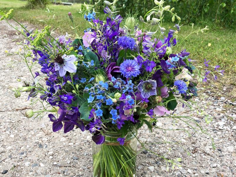 Blomsterdyrkning og skærehaver